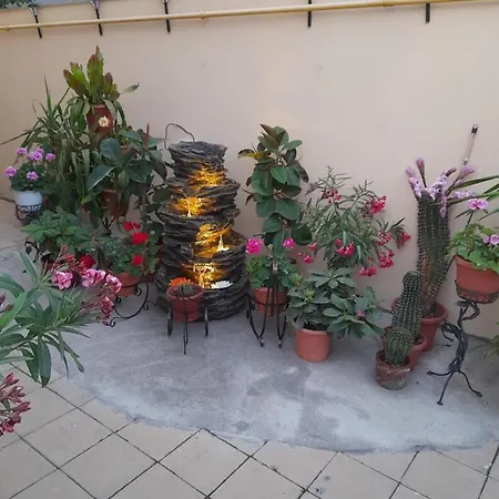 Marius-camere De Inchiriat 4*